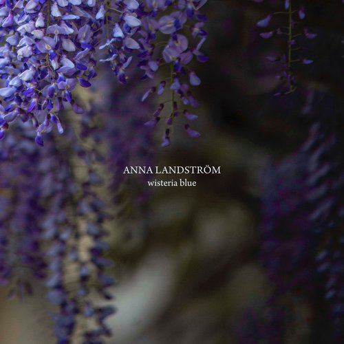 Wisteria Blue