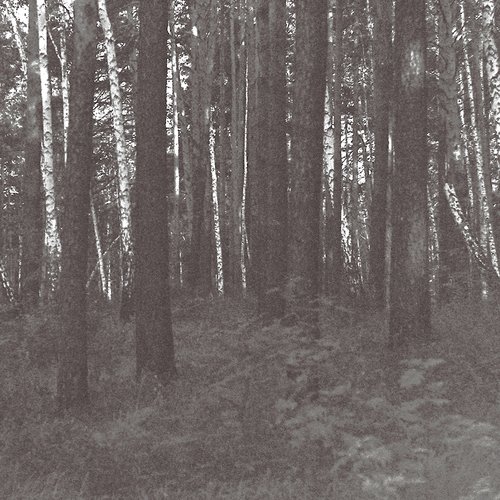 Symbolic Seclusion