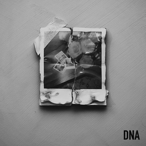CAN'T TAKE IT - DNA