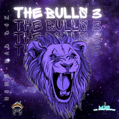The Bulls 3