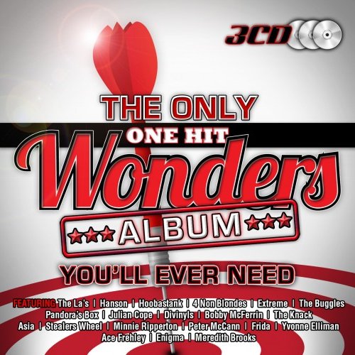 The Only One Hit Wonders Album You'll Ever Need