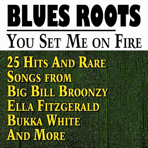 You Set Me on Fire (25 Hits and Rare Songs from Big Bill Broonzy Ella Fitzgerald Bukka White and More)
