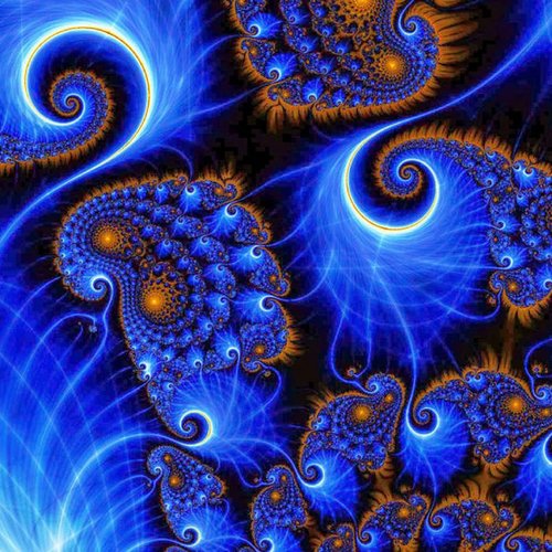 Nature Of The Moment