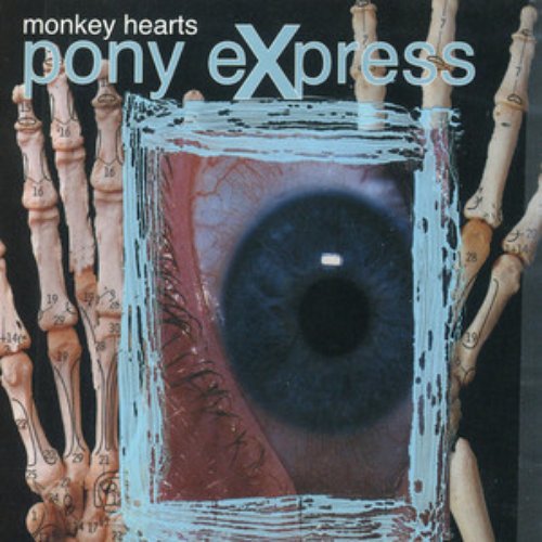 Monkey Hearts