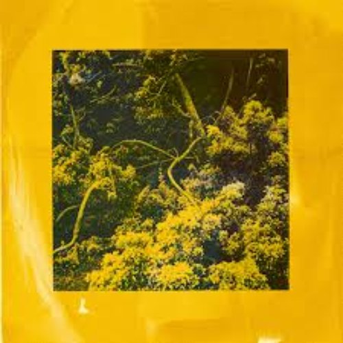 In Yellow
