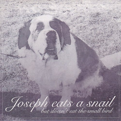 But Doesn't Eat the Small Bird - EP