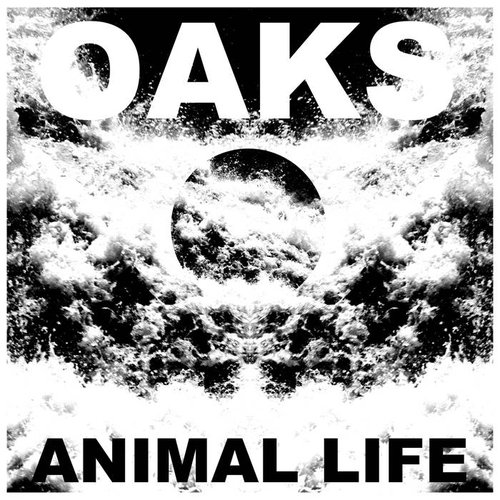 Animal Life