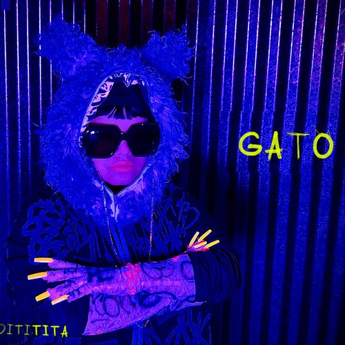 Gato