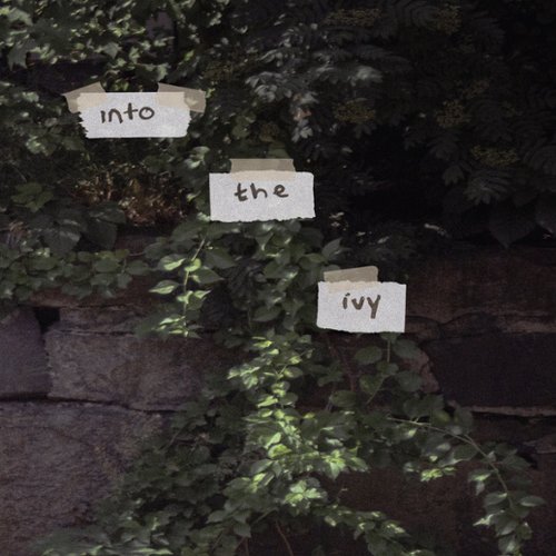 Into The Ivy