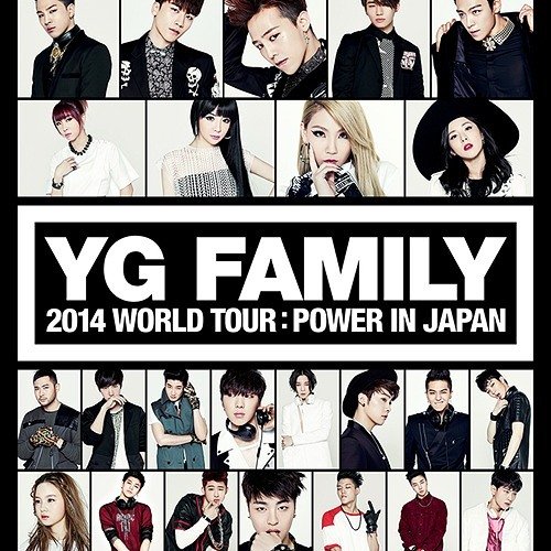 YG FAMILY 2014 WORLD TOUR : POWER IN JAPAN