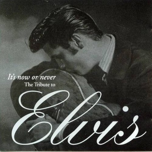 It's Now or Never: The Tribute to Elvis
