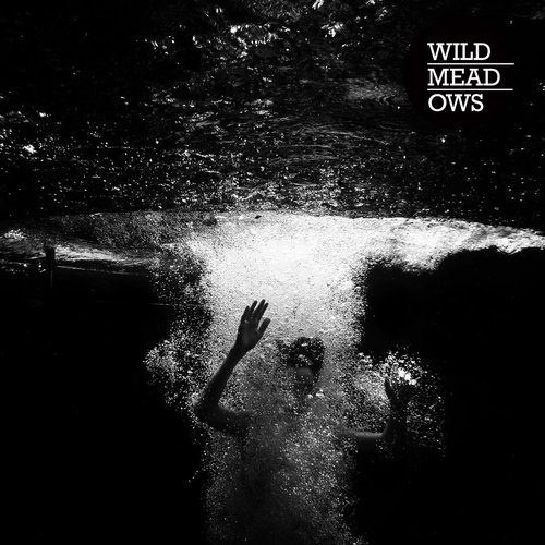 Wild Meadows