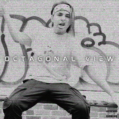 Octagonal View - Single
