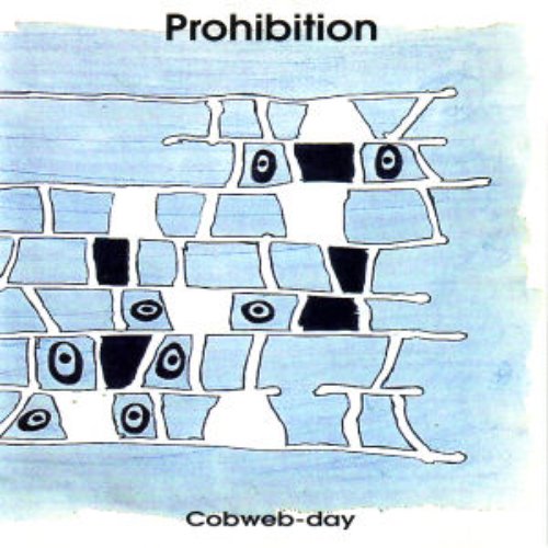 Cobweb-Day