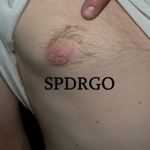 Discography
