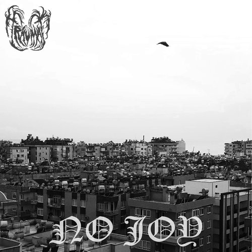 No Joy
