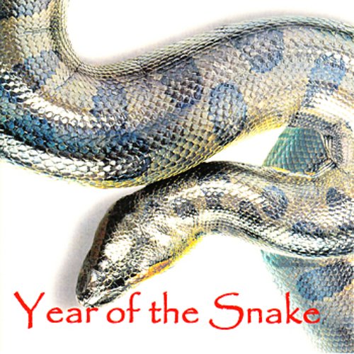 Year of the Snake