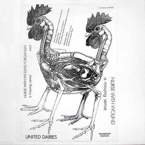 A Missing Sense / Rasa