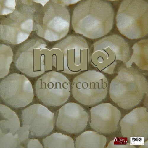 honeycomb