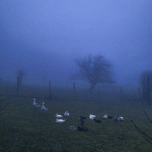 All That Remained - Single