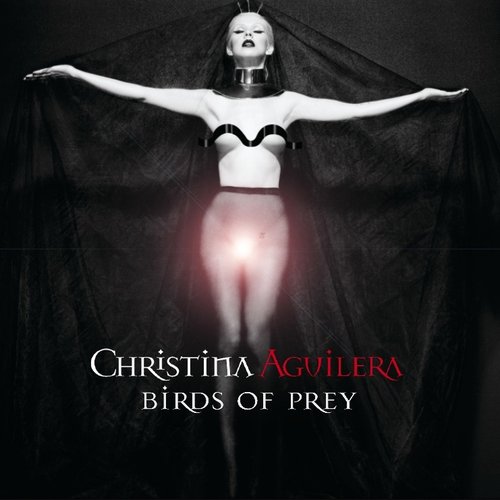 Birds of Prey (Reuben Wu Ladytron Remix)