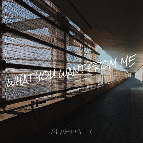 What You Want from Me - Single