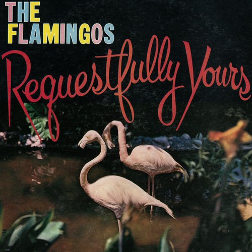 Requestfully Yours
