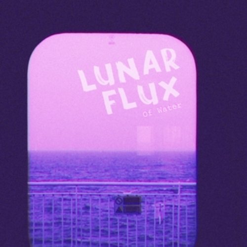 Lunar Flux