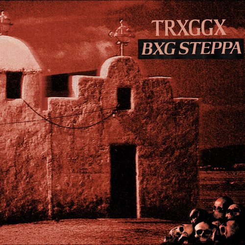 BXG STEPPA