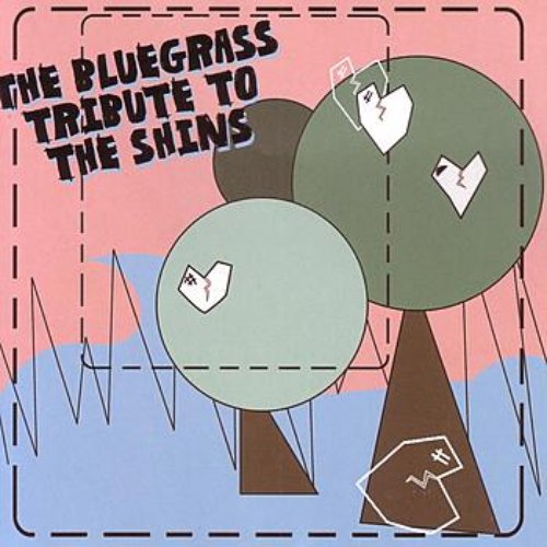 The Bluegrass Tribute to The Shins