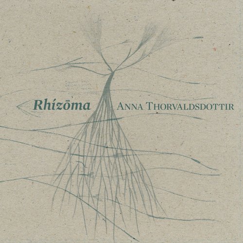 Rhizoma