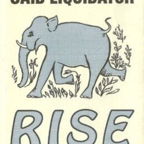 Rise