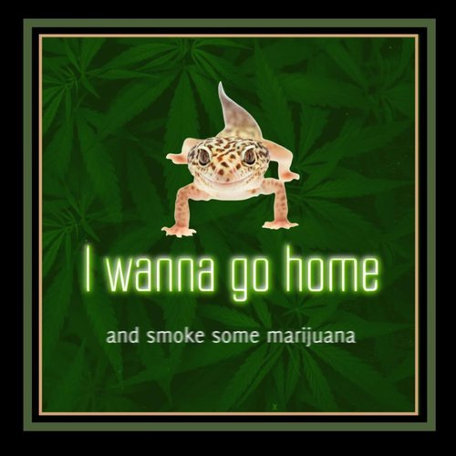 I Wanna Go Home and Smoke Some Marijuana (feat. Jopi Drew) - Single