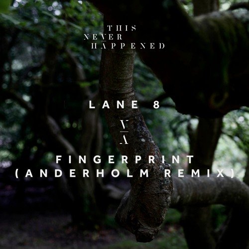 Fingerprint (Anderholm Remix)