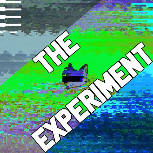 The Experiment