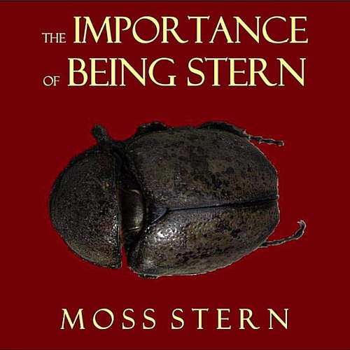 The Importance of Being Stern