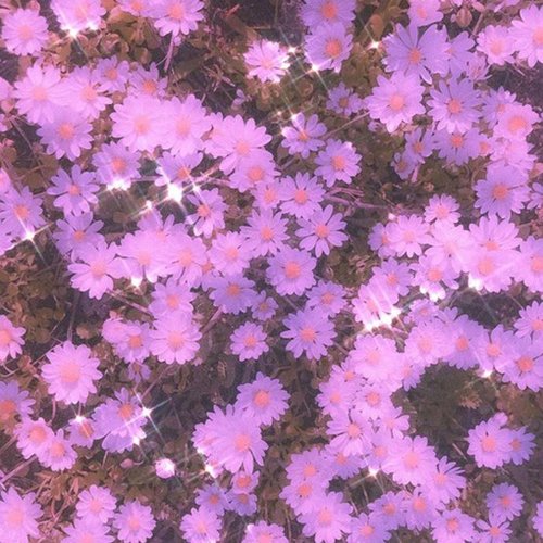 Stroll in the Park