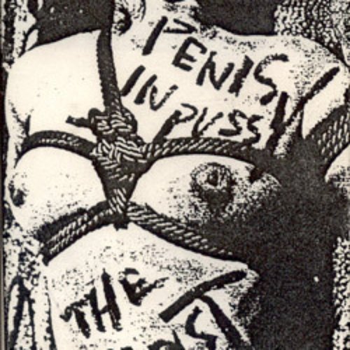 Penis in Pussy