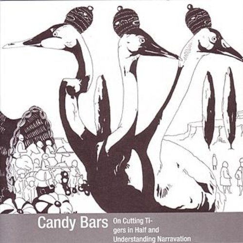 On Cutting Ti-Gers In Half And Understanding Narravation