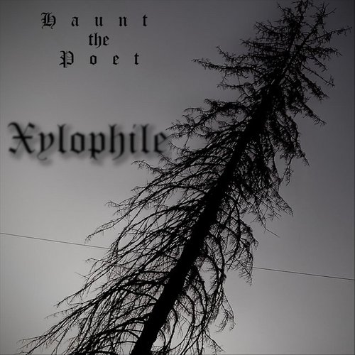 Xylophile