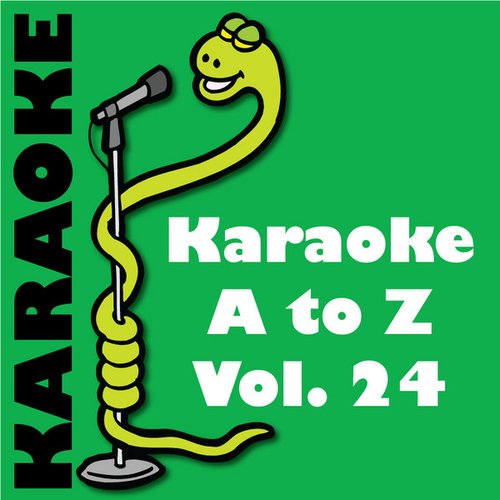 Karaoke Snake A To Z - Volume 24