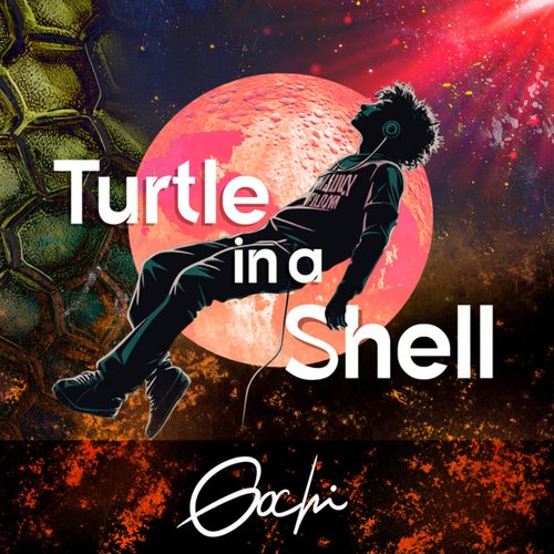 Turtle in a shell