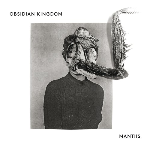 Mantiis (An Agony in Fourteen Bites)