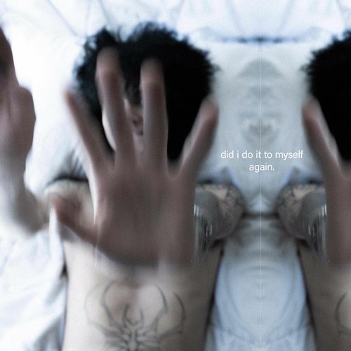 did I Do It To Myself Again - Single