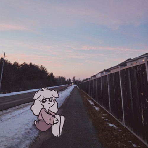 coral drive / liar