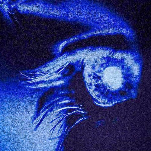 All I Need.. - Single