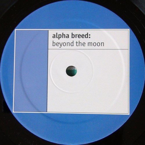 Beyond The Moon