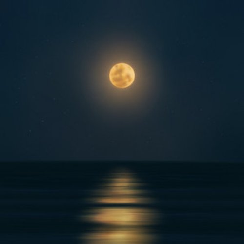 Silent Moon