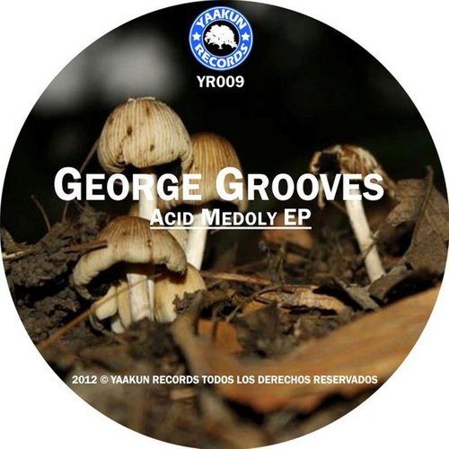 Acid Melody EP