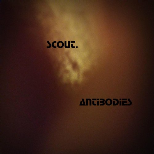 Antibodies